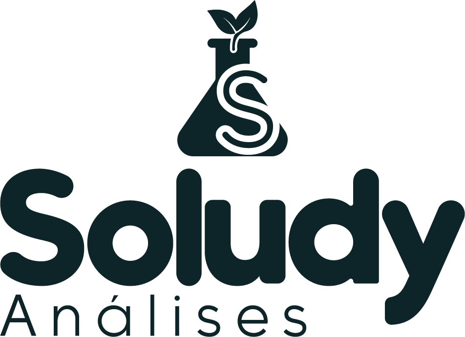 Soludy Manager